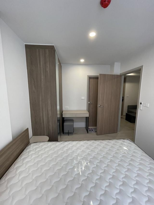 �͹� ����������ѹ