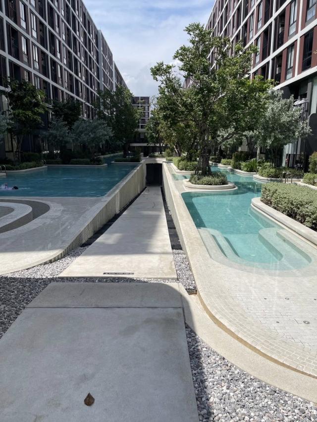 �͹������� ���١�һ����ҹ�