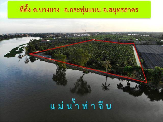 ���Թ 19 ���