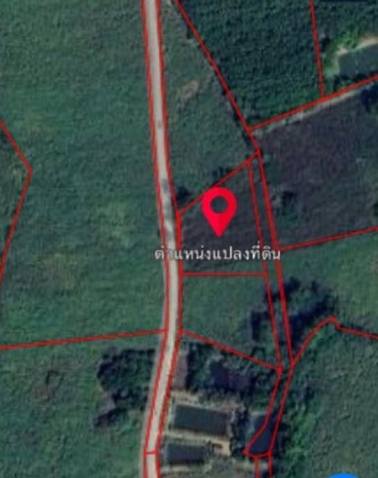 ���Թ ��� �觢��