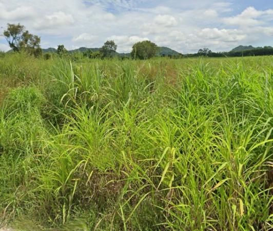 ���Թ ��� �������