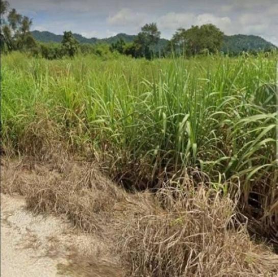 ��·��Թ �Ҵ�ǧ ���