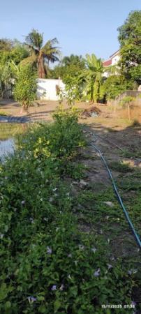 ���Թ ���ǹ �����