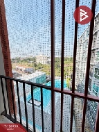 ��� �͹� 24.45 ���ҧ����