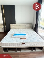 ��¤͹� ���ͧྪú��� ྪú���