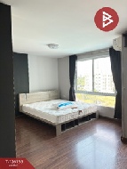 �͹� ���ͧ