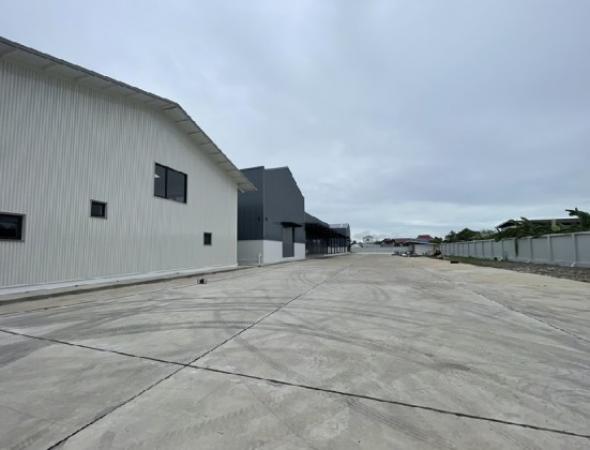 �ç�ҹ������ �ҧ�ع��¹