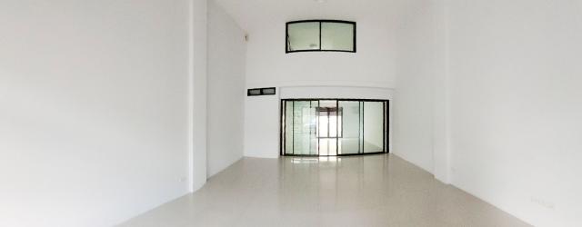 �Ҥ�þҳԪ���������� ��§����