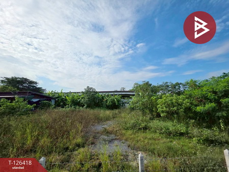 ��û�� �� The Best Property Agent