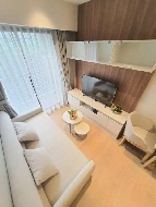 �͹���������