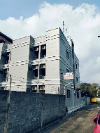 ;�����鹷� 3 ���