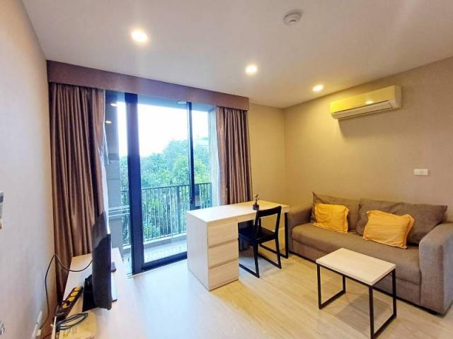 �͹����ͧ��§���� ��§����