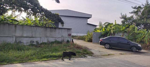 ����ç�ҹ �ҧ�����طû�ҡ��