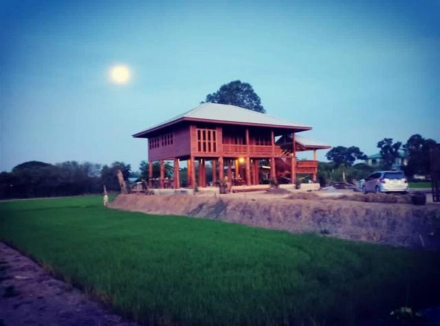 ��ҹ������ �ù��� �������