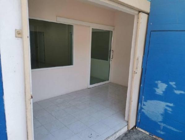 ⡴ѧ������ ��بѡá�ا෾