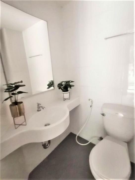 ��¤͹� �ҧࢹ