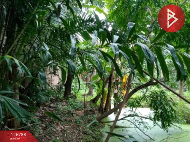 ��ا෾ �� The Best Property Agent