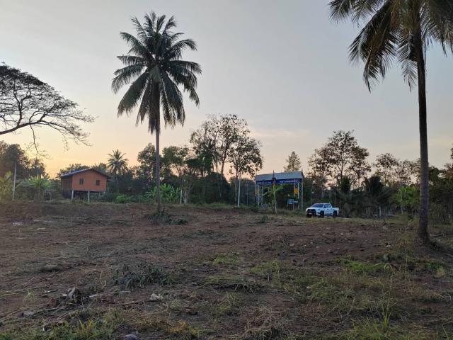 ���Թ �ԨԵ� ˹�ҡ��ҧ