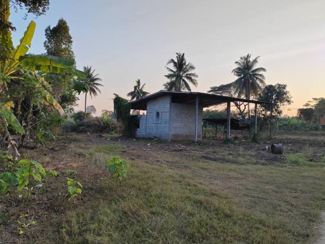 ���Թ �ԨԵ� ⩹�������͹