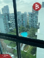 ��¤͹� �ҧ�л� ��ا෾