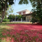 ��ҹ ��� 2,390,000 �ҷ / ������ 12,000 �ҷ/��͹