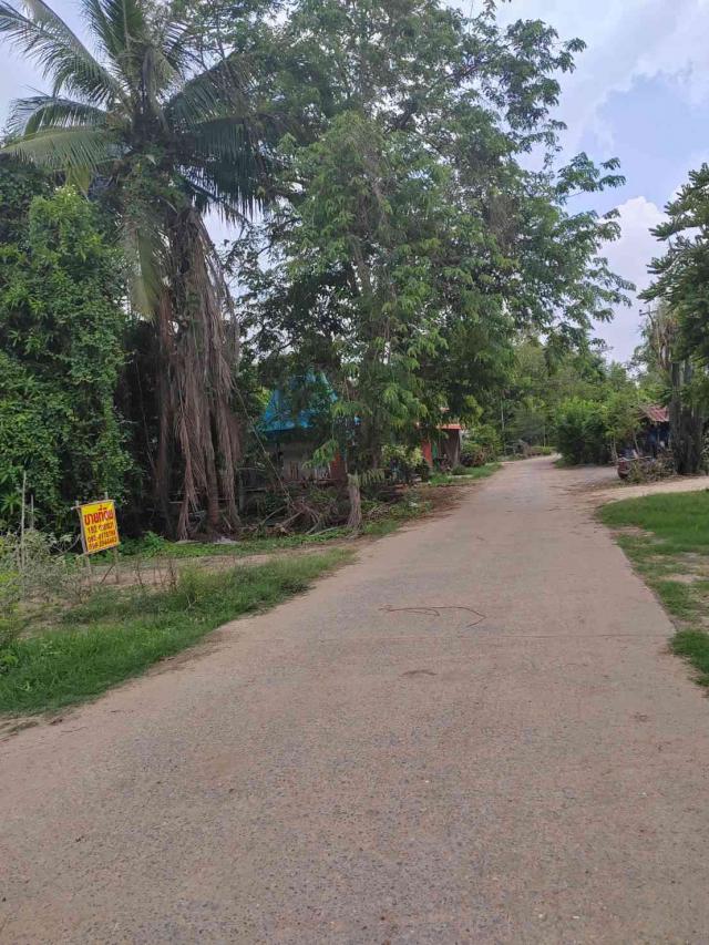 ���Թ �ԨԵ� �Դ���