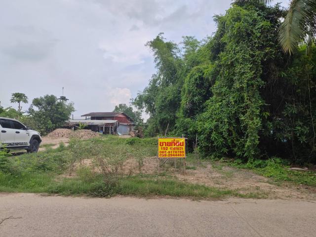 ���Թ �ԨԵ� ��лҾ����