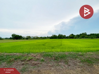 ���ͧ �� The Best Property Agent