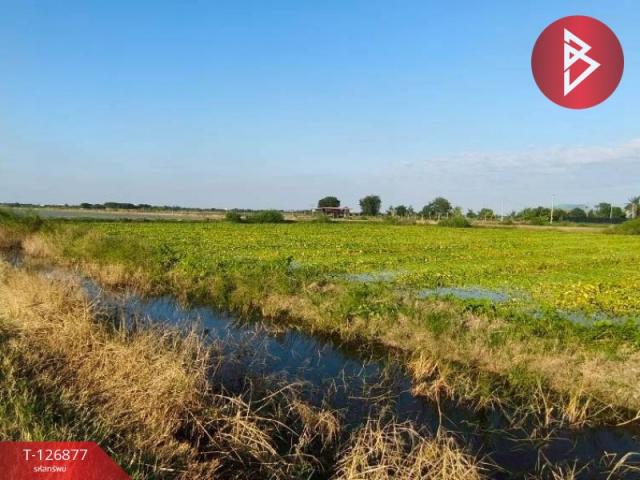 ��û�� �� The Best Property Agent