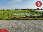 ��� ���Թ �ҧ�Ź ��û��