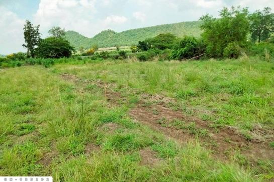 ���Թ ž����