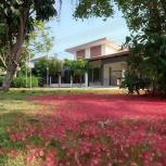 ��ҹ������ 12,000 �ҷ/��͹