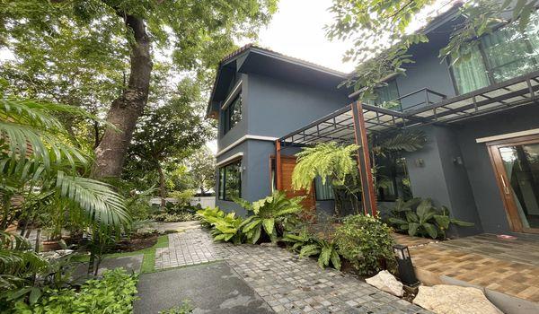 ��º�ҹ �ҧ���͡�ا෾