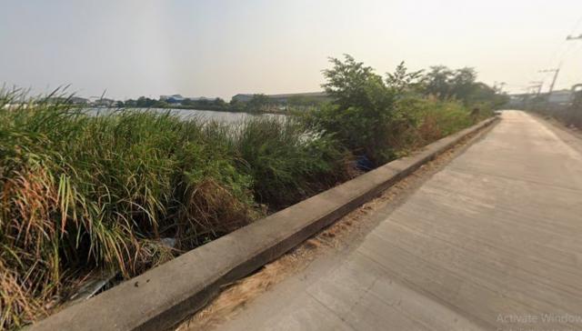 ���Թ 19 ���