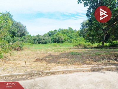 ������ͧ �� The Best Property Agent