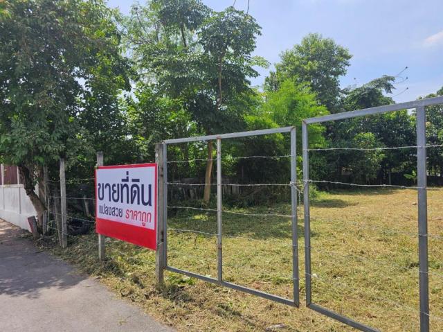 ที่ดิน ถมสูง ที่ดิน ถมสูง