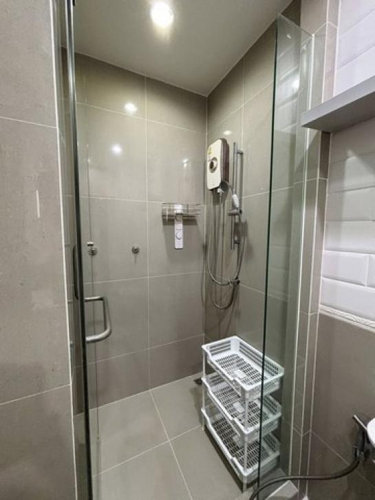 ��¤͹� ����