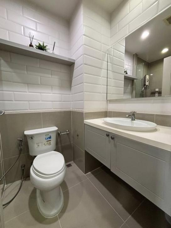 ��¤͹� ����