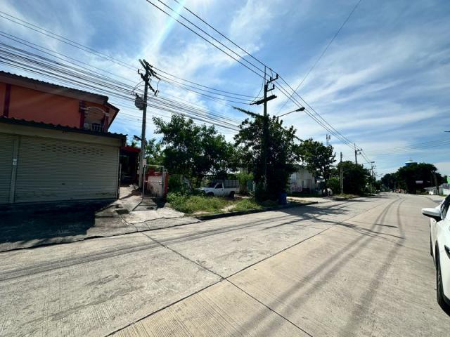 ��áԨ���������������ѧ �ź���