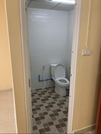 ��¤͹� �ҧ�˭蹹�����