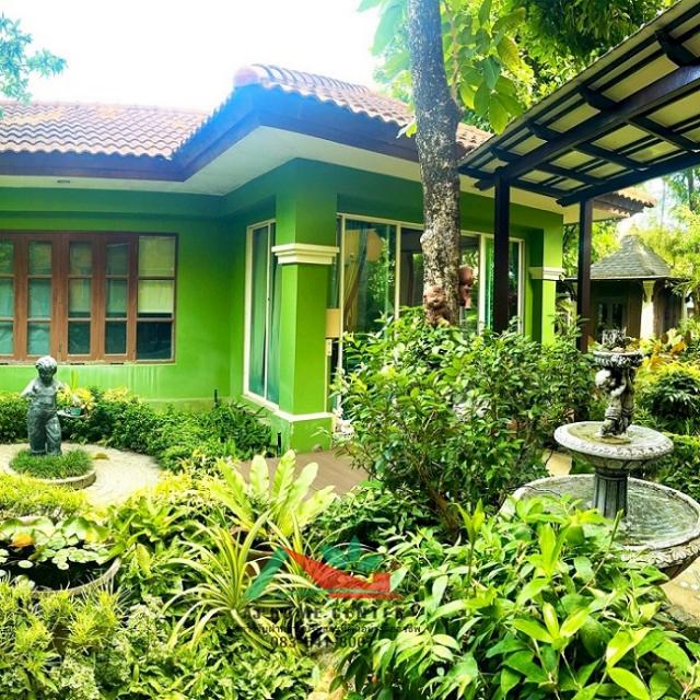 ��º�ҹ �ҧ�͹��ا෾