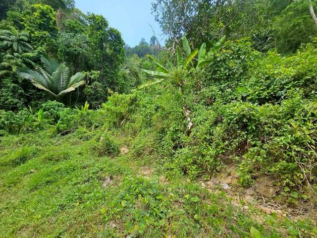 ��·��Թ �з�� ����