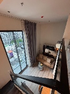 ������ �͹�