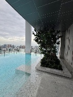 �͹� 40 ���ҧ����