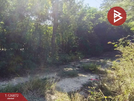 ��û�� �� The Best Property Agent