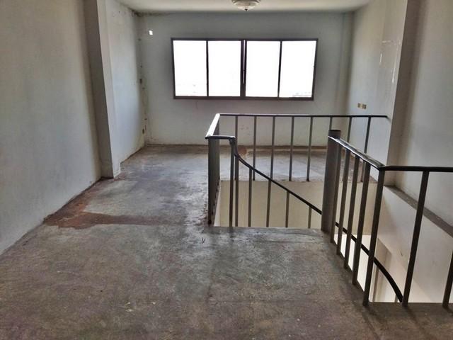 ��¤͹� �͹���ͧ