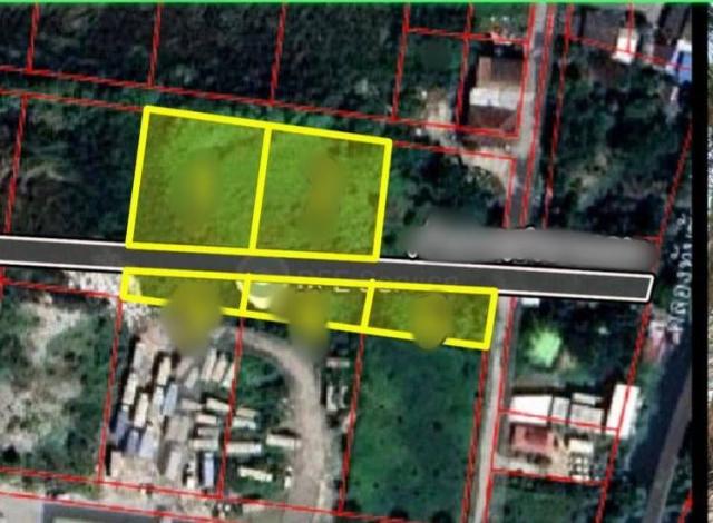 ���Թ������ �оҹ�٧��ا෾