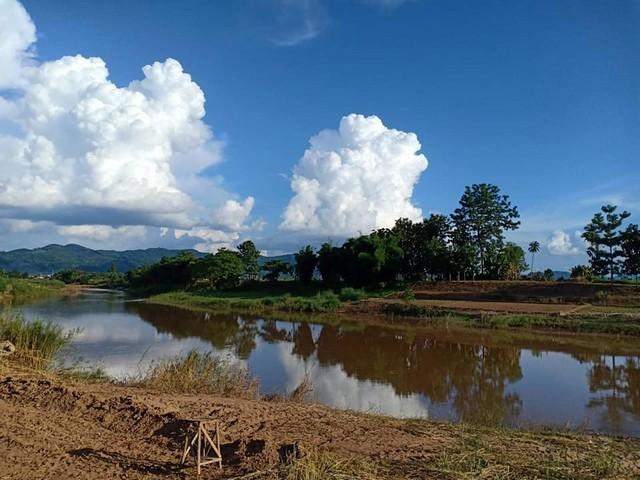 ���Թ����ѧ�� ��ҹ