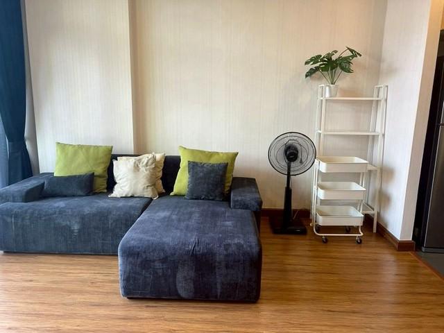 �͹������� ���ͧ��§������§����