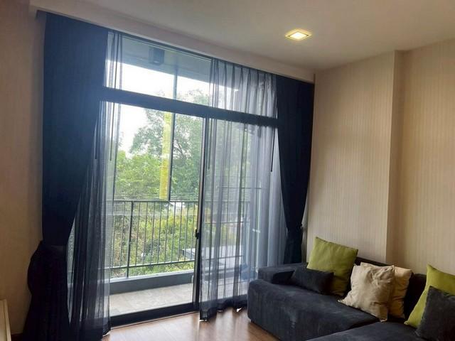 �͹������� ���ͧ��§������§����